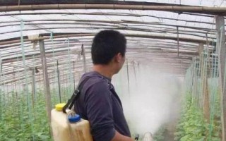 黄瓜红粉病的防治措施，要注意合理密植