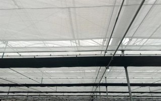 大棚内遮阳和外遮阳的区别，前者在棚内安装遮阳系统、后者直接把阳光阻挡在棚外