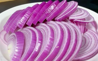 狗狗能吃水果吗，从以下5点出发去饲喂