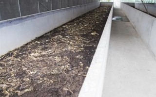 蚯蚓没有销路如何解决，卖给渔具店是不错的选择