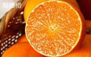 夏天水果保鲜方法,根据水果的种类采取保存措施