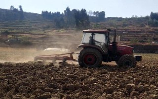 土壤酸化怎么改良，使用有机肥可调节酸碱值