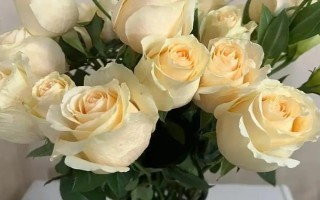 肉色玫瑰有什么花语，代表至死不渝、爱上你是最大的幸福等含义