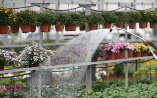 在农村开个花圃挣不挣钱，只要经营得当便可挣钱