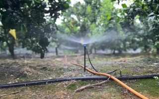 农作物根外施肥技术，根据气候条件选择喷肥时间