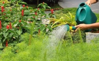 土壤活化剂的作用，能使土壤的表层快速湿润