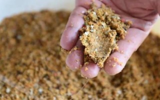 哪些鱼饵可以绝杀鲶鱼，包括蚯蚓、鸡肝、鸭肠等饵料