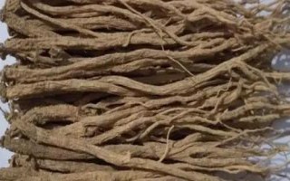 党参的产地，每个产地的生产品种不一样