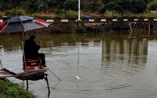 2H鱼竿调性如何,可以是28调,也可以是19调