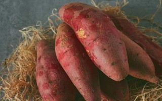 甘薯和红薯的区别,二者其实没有实质性区别、只是叫法有差异