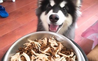 为什么阿拉斯加会哭，可能是它的泪腺有问题