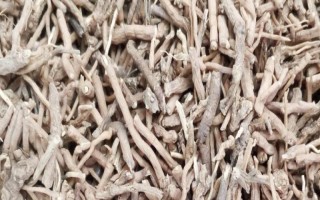 远志的产地，主要分布于河北、河南、山西等