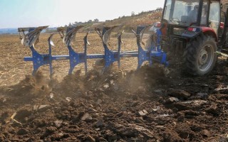 东北水稻什么时候种植，在4月中上旬进行