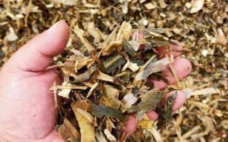 红薯秧如何做青储饲料，红薯秧一定要粉碎处理