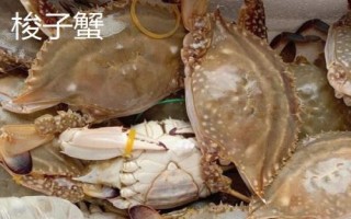 螃蟹有几条腿，大多是横着走路