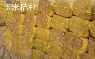 养肉牛喂养什么粗料，干草、玉米秸秆和谷草都可以