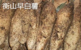 衡山县的特产,南岳寿饼是著名的旅游特产之一