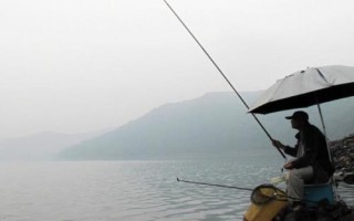 早春钓鲫鱼钓多深水好,大部分情况可钓2米左右的深度