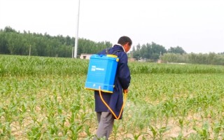 盖草能怎么使用，在杂草4叶期左右用药兑水喷雾