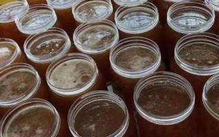 受欢迎的农村创业项目，制做糕点以及发展体验式度假均为不错选择