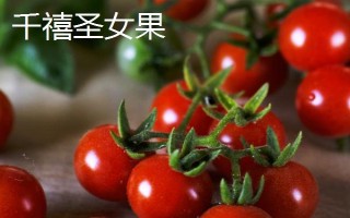 玲珑小番茄和千禧圣女果的区别,外形、品种和口感均不同