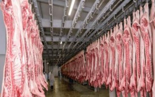 开办屠宰场需办理的手续,包括屠宰许可证、排污许可证及动物防疫条件许可证等