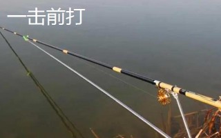 三定位前打竿的定位方式,根据鱼情和水情将鱼竿定位至适宜长度