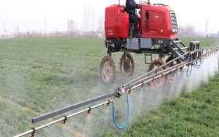 选择复合肥的方法，使用不当会烧根