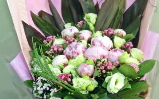 绿牡丹的简介，属于名贵的牡丹品种