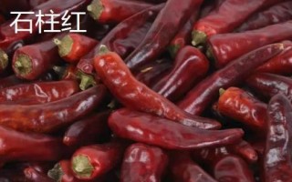 石柱红和二荆条的区别，外形和颜色均不同