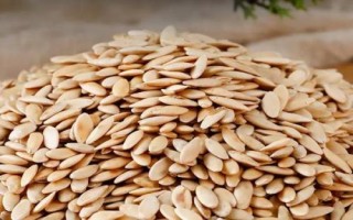 黄瓜籽介绍，种子为白色、呈狭卵形