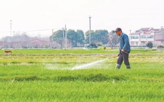 农资包括什么东西，包括种子、肥料、农药等