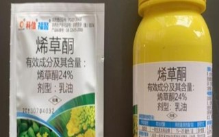 烯草酮有什么特点，可快速被杂草吸收并在其体内传导