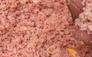 钓鲤鱼的饵料,是最常见的淡水鱼类