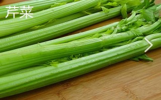 哪些蔬菜适合在3月份种植,包括空心菜、丝瓜、苋菜等品种