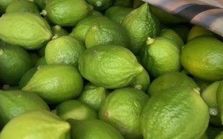 香水柠檬苗的价格，一棵需要3.6-5.9元左右