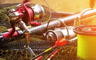 如何野钓鲫鱼，垂钓处以水草、石块较多的位置为宜