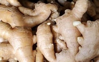 生姜产于哪里，在我国主产于湖南、四川、广西等省份