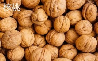 山核桃和核桃的区别，生长环境和产地均不同