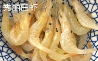 淡水虾的种类,这5种都可人工养殖