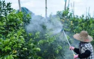 除草剂的使用注意事项，需正确掌握用药时期和剂量