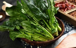 8月底适合种什么蔬菜，茼蒿、芥菜、菠菜等品种均可选择