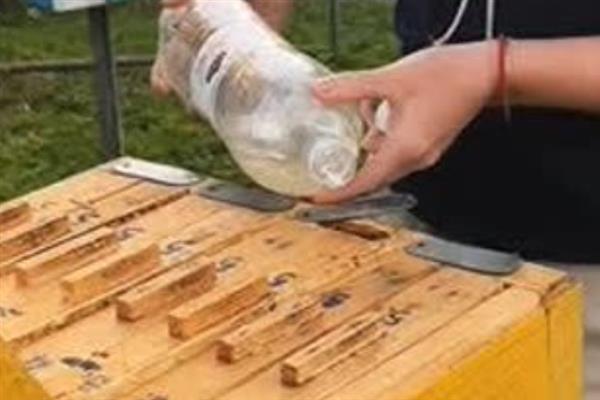 冬天如何对蜜蜂饲喂糖水，在饲喂器中添加糖浆再放入蜂箱中即可