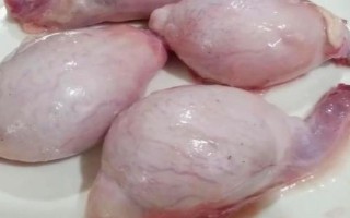 什么是羊腰子,是指羊的肾脏