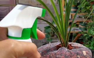 呋虫胺的使用注意事项，要避免在蚕室、桑园附近用药