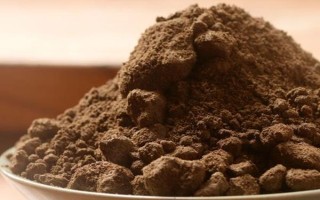 碗莲的水培方法，将种子播入花土中再浇水淹没