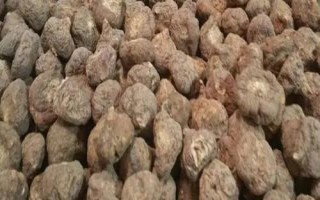 玛卡如何分辨真假,可以尝味道、看产地或看外观成色判断