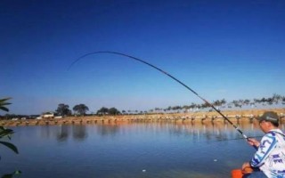 冬天钓鳊鱼是钓底还是钓浮，钓底是主流