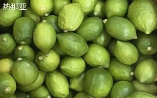 柠檬苗推荐品种，尤力克、菲诺、热那亚等品种值得选择