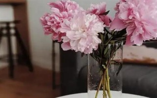 剪下的牡丹枝条水培能不能生根，牡丹枝条水培可以生根